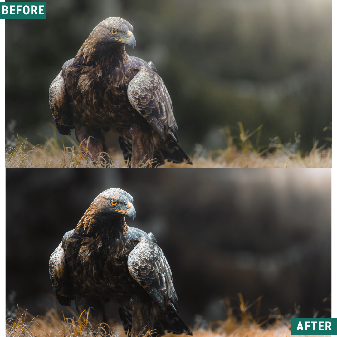 Nordic Land LIMITED Lightroom Presets Pack