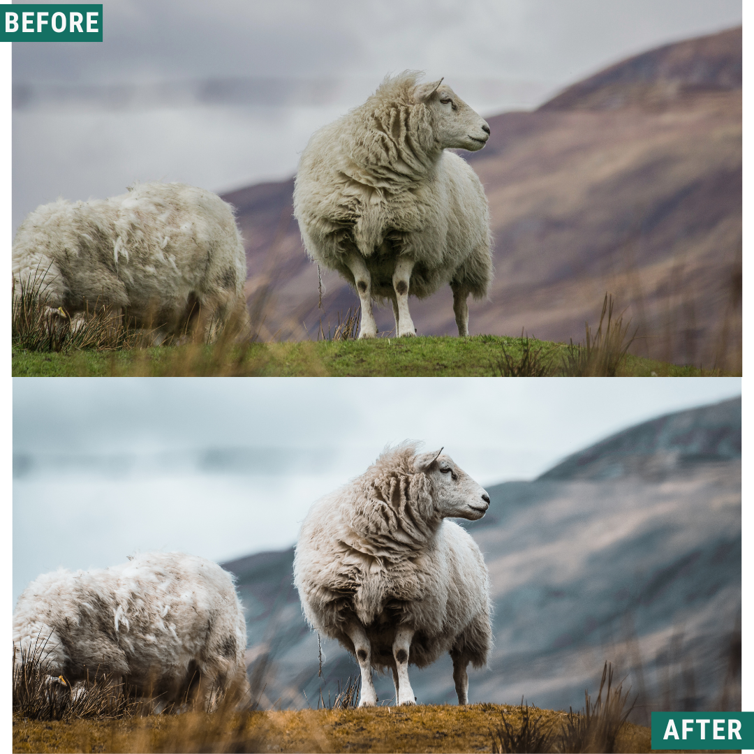 Nordic Land LIMITED Lightroom Presets Pack