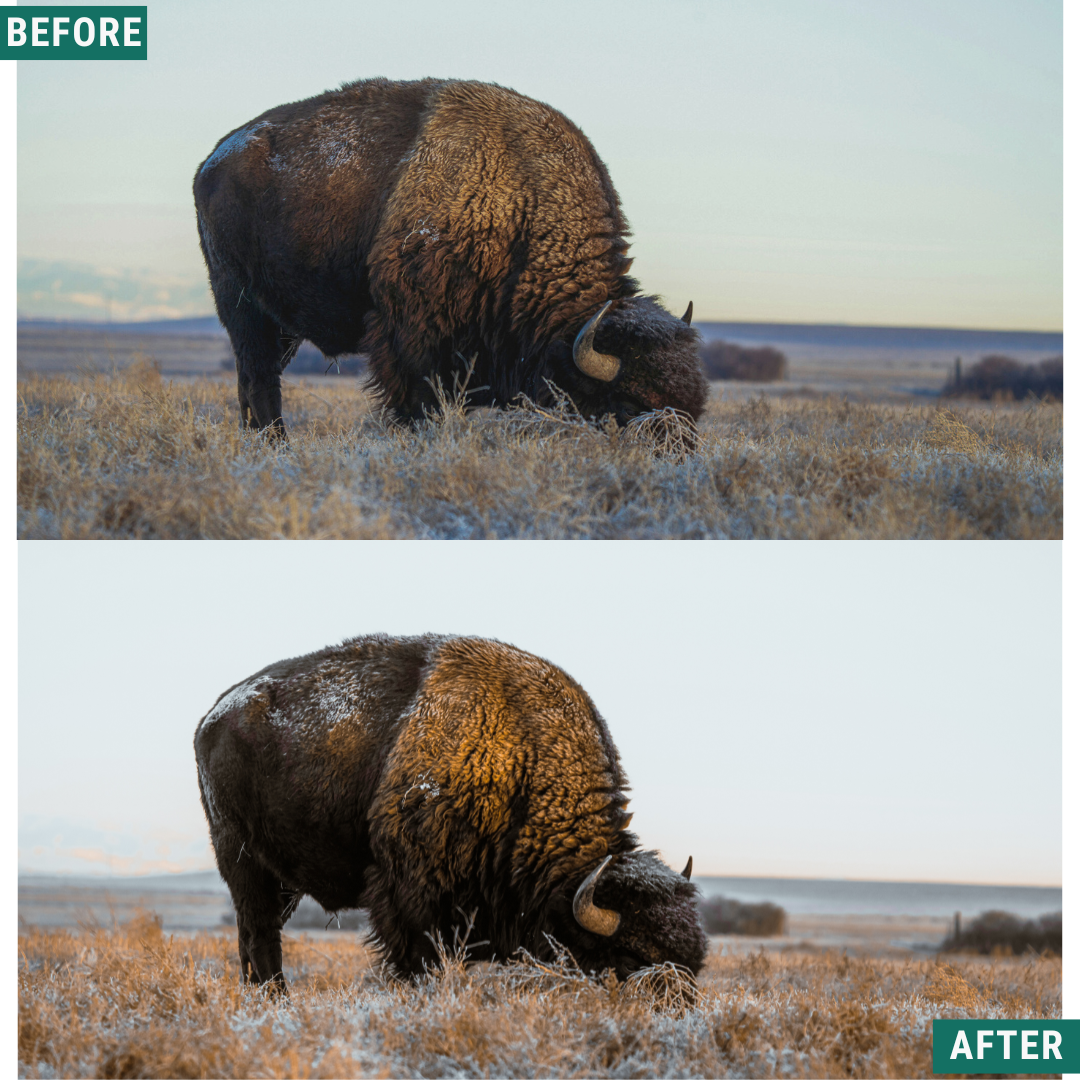 Nordic Land LIMITED Lightroom Presets Pack