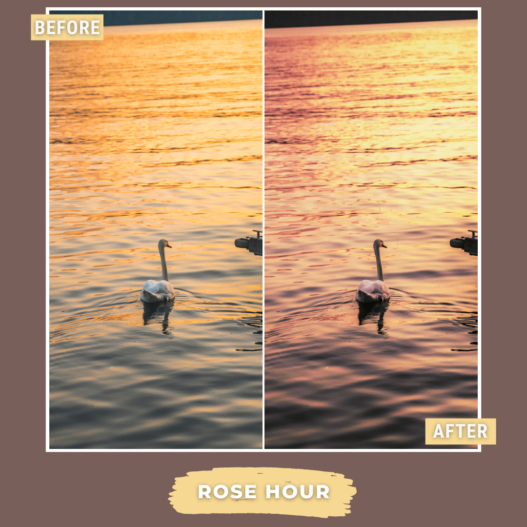 Master Collection Bundle 490 Lightroom Presets Summer