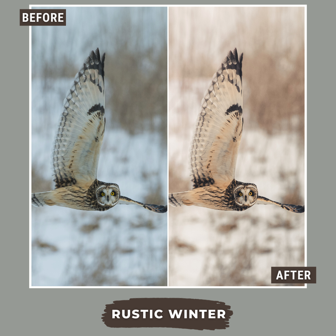 Master Collection Bundle 620 Lightroom Presets + 75 Bonus AI Winter Presets