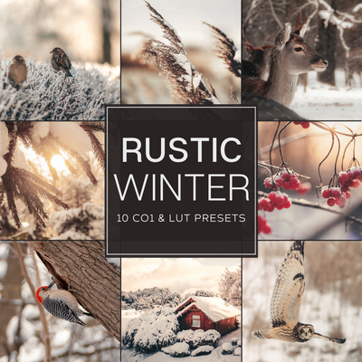 Rustic Winter LIMITED Capture One & LUT Presets Pack