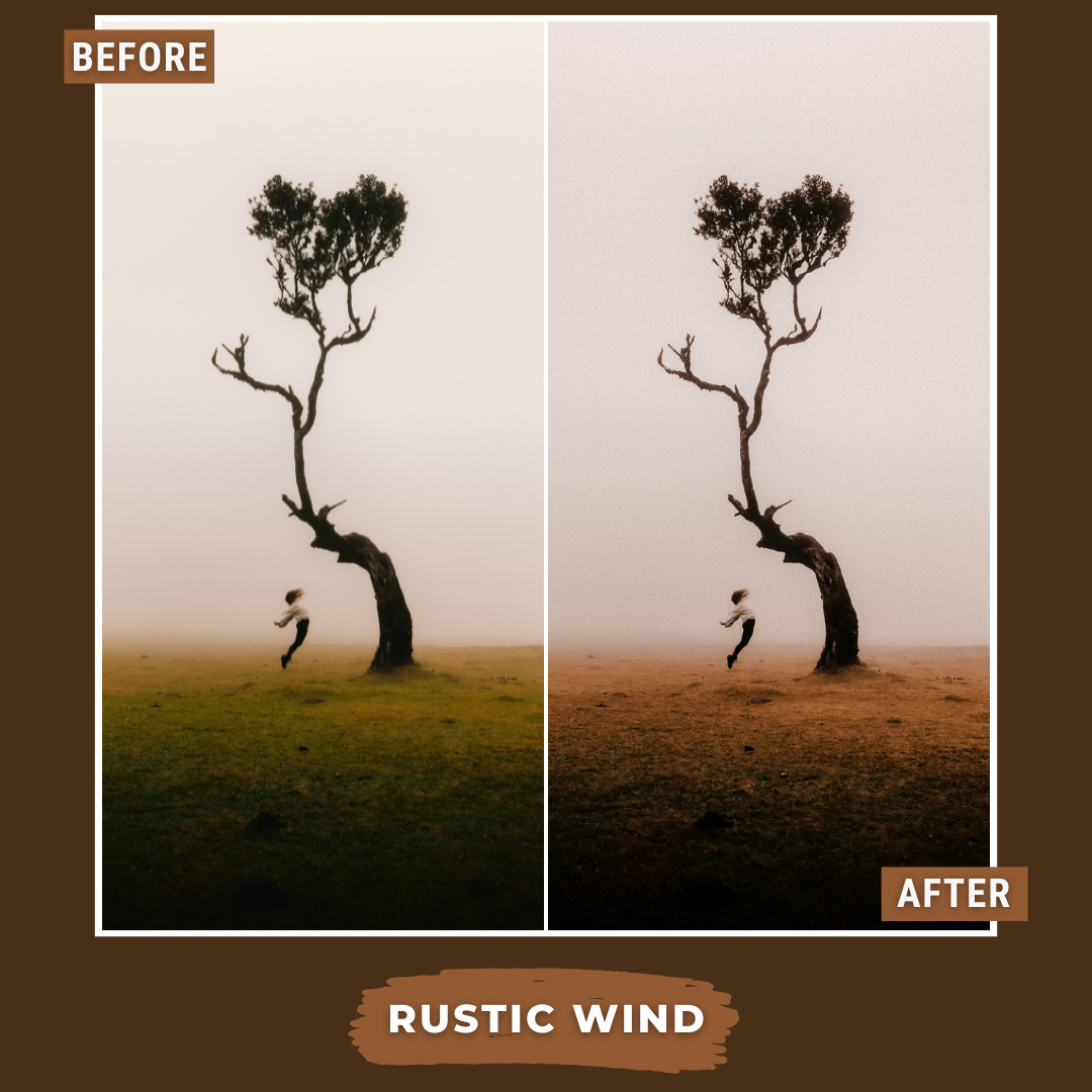 Master Collection Bundle 620 Lightroom Presets + 75 Bonus AI Winter Presets