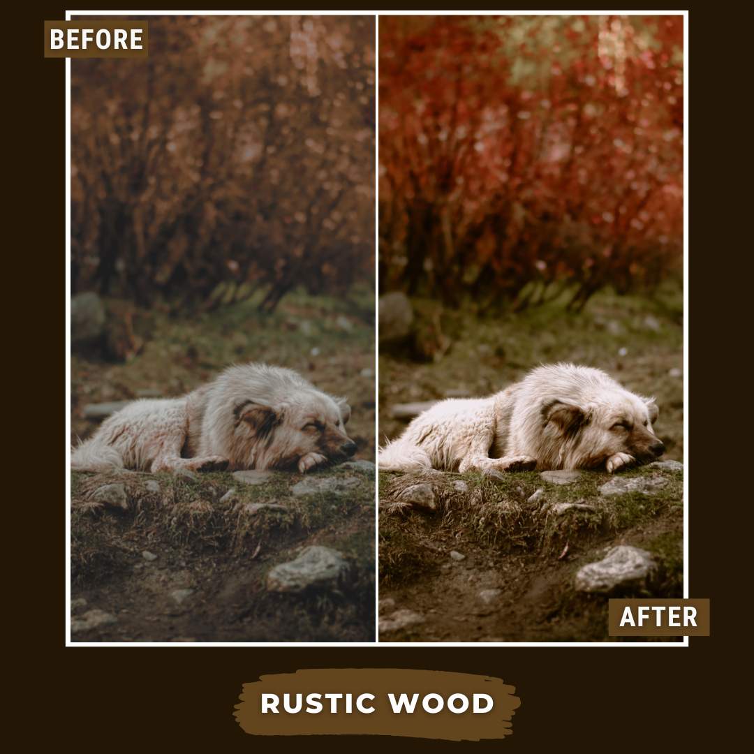 Master Collection Bundle 620 Lightroom Presets + 75 Bonus AI Winter Presets