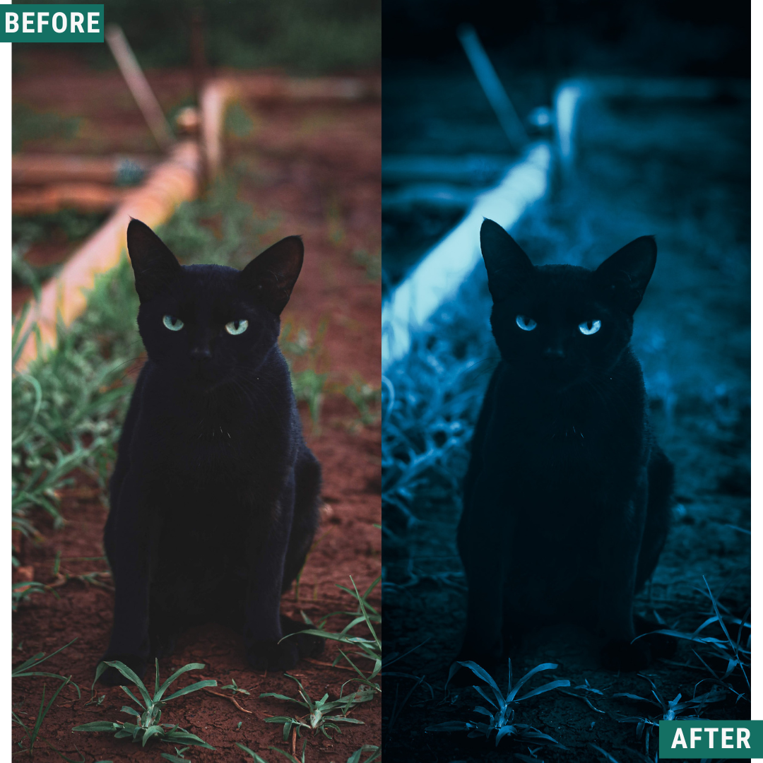 Spooky Blues LIMITED Lightroom Presets Pack