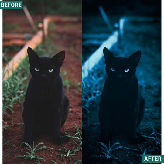 Spooky Blues LIMITED Lightroom Presets Pack