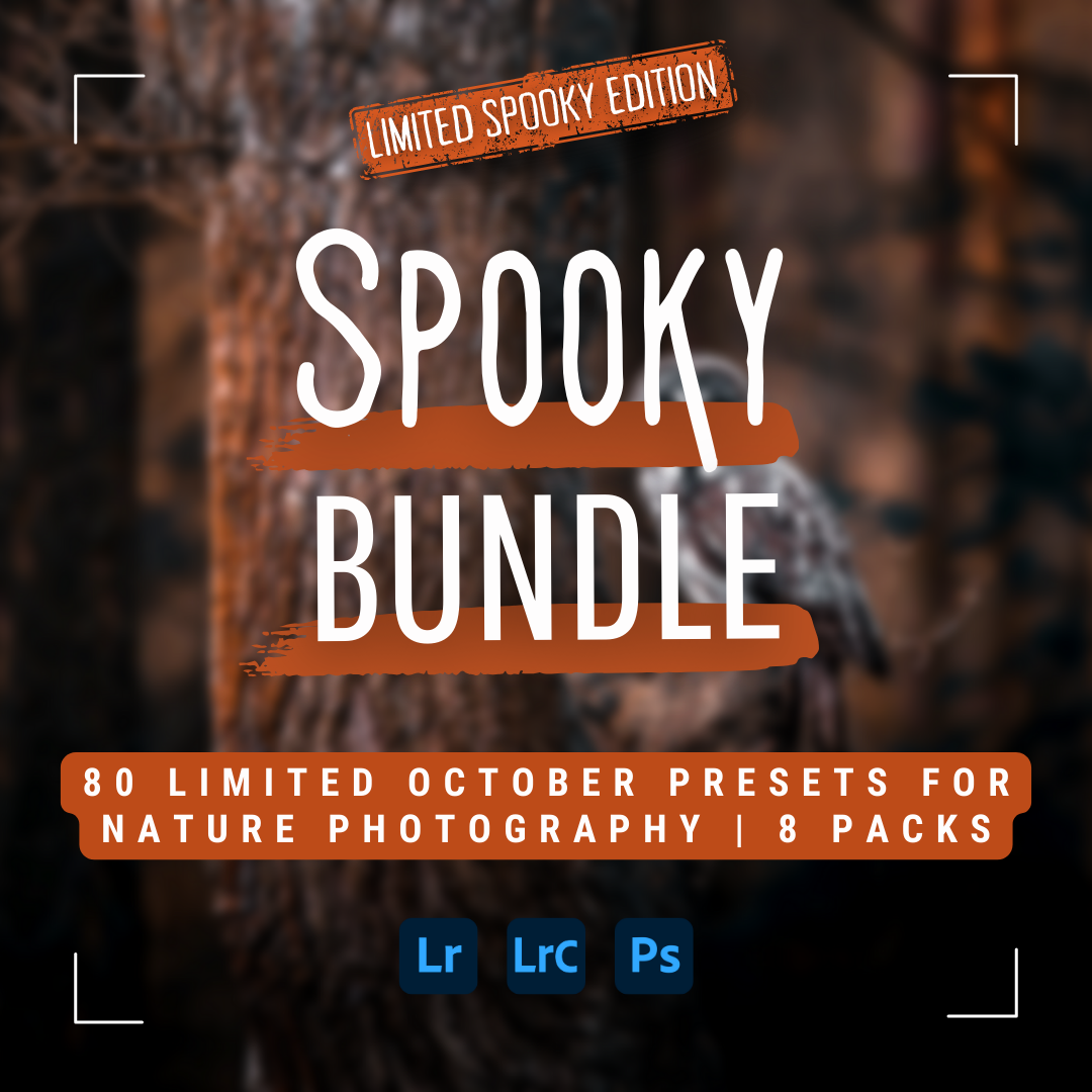 Spooky Bundle LIMITIERT 80 Lightroom-Presets