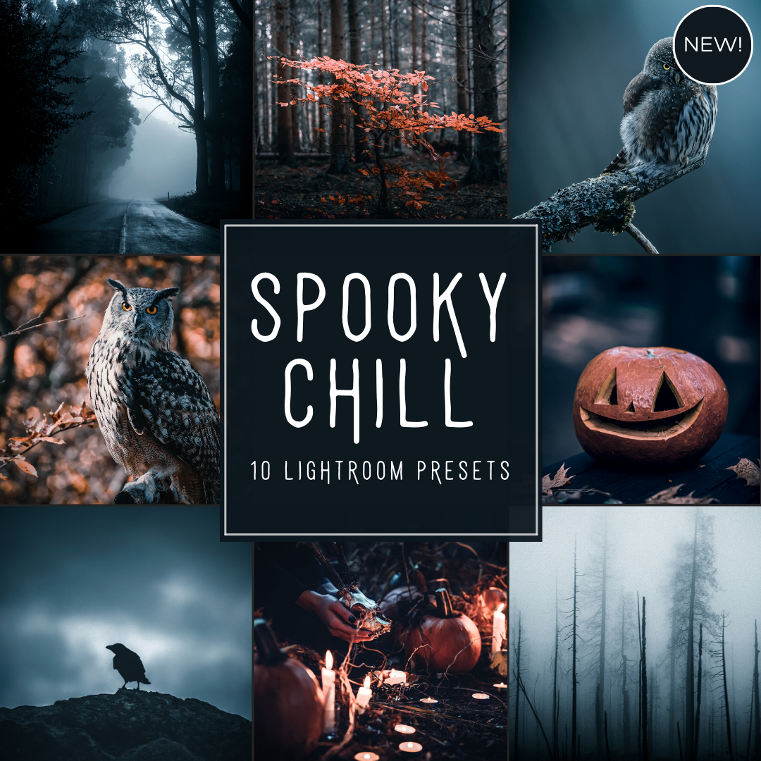 Spooky Chill Lightroom Presets Pack