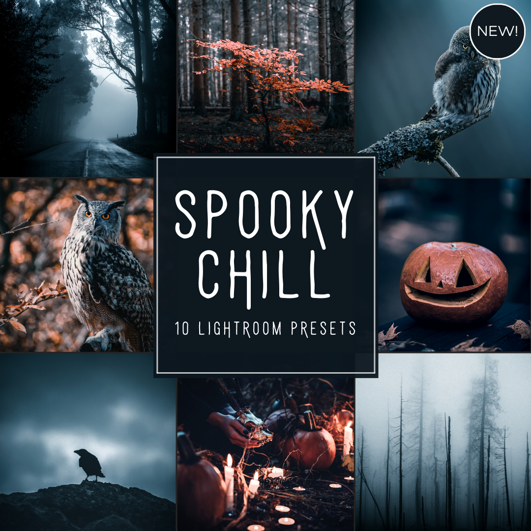 Spooky Chill LIMITED Lightroom Presets Pack