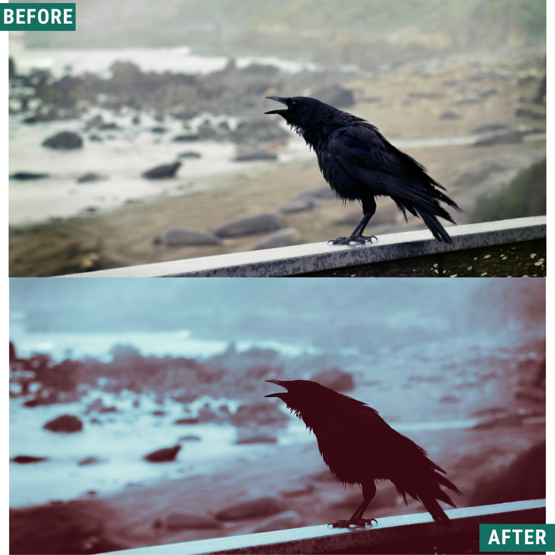 Spooky Crimson LIMITED Lightroom Presets Pack