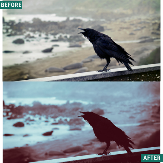 Spooky Crimson LIMITED Lightroom Presets Pack