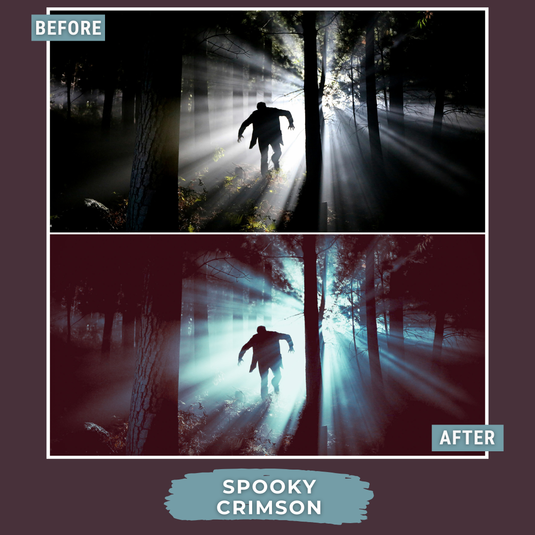 Master Collection Bundle 590 Lightroom Presets + 76 Bonus AI Spooky Presets