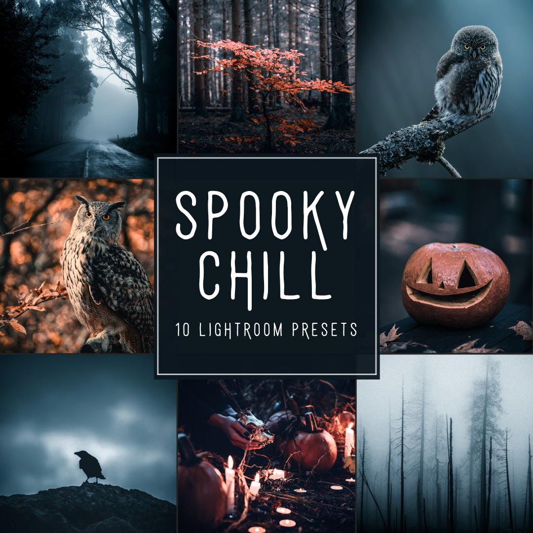 Spooky Chill Lightroom Presets Pack