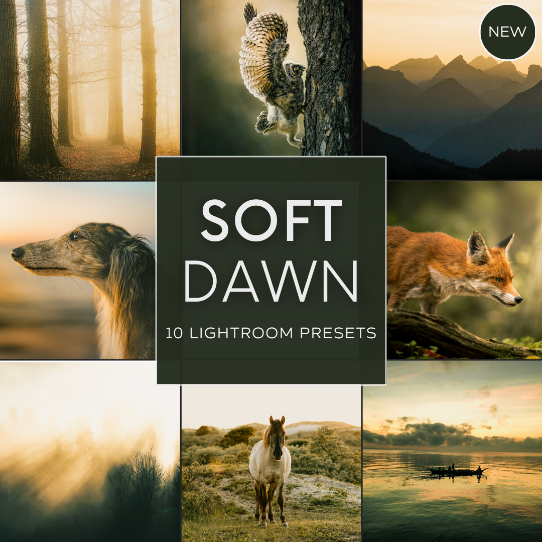 Soft Dawn LIMITED Lightroom Presets Pack