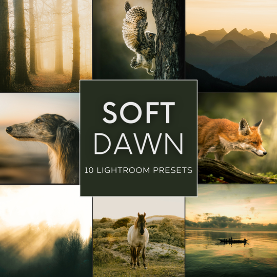 Soft Dawn Lightroom Presets Pack
