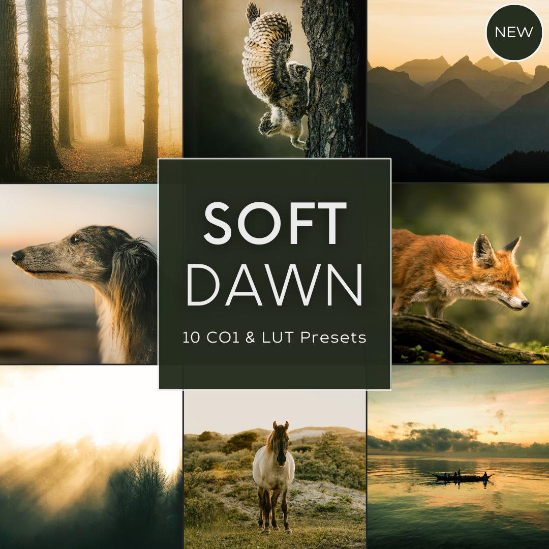 Soft Dawn LIMITED Capture One & LUT Presets Pack
