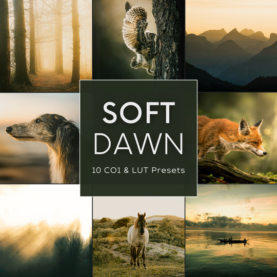 Soft Dawn LIMITED Capture One &amp; LUT-Voreinstellungspaket