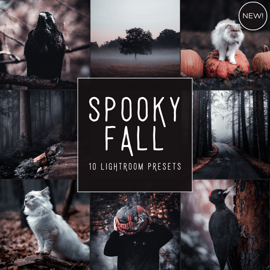 Spooky Fall LIMITED Lightroom Presets Pack