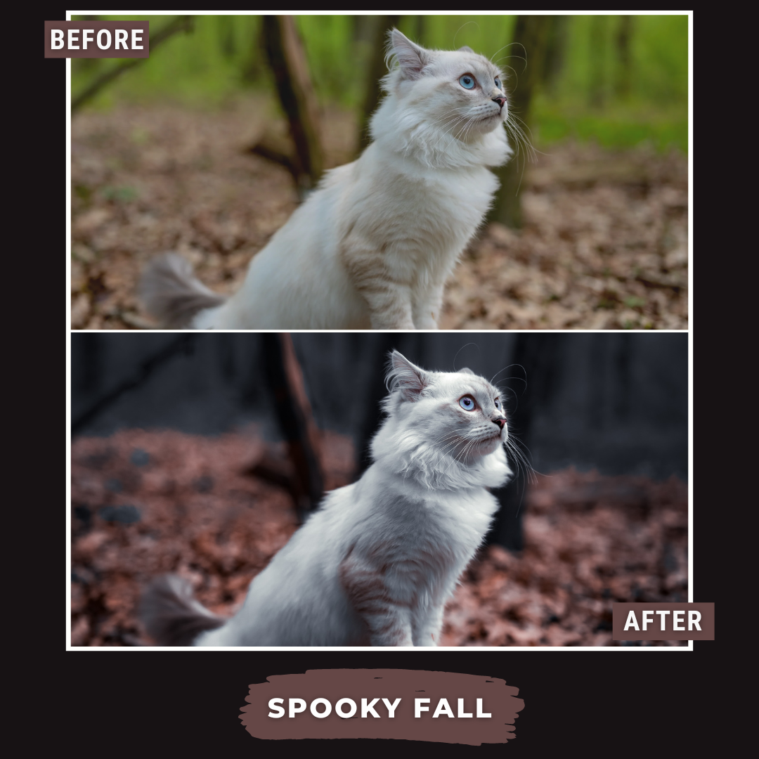 Spooky Bundle LIMITIERT 80 Lightroom-Presets