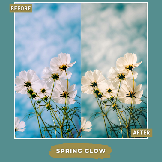 Master Collection Bundle 440 Lightroom Presets