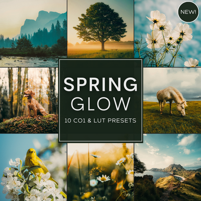 Spring Glow LIMITED Capture One & LUT Presets Pack
