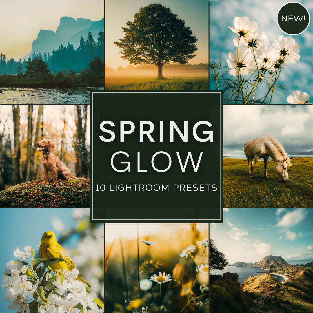 Spring Glow LIMITED Lightroom Presets Pack