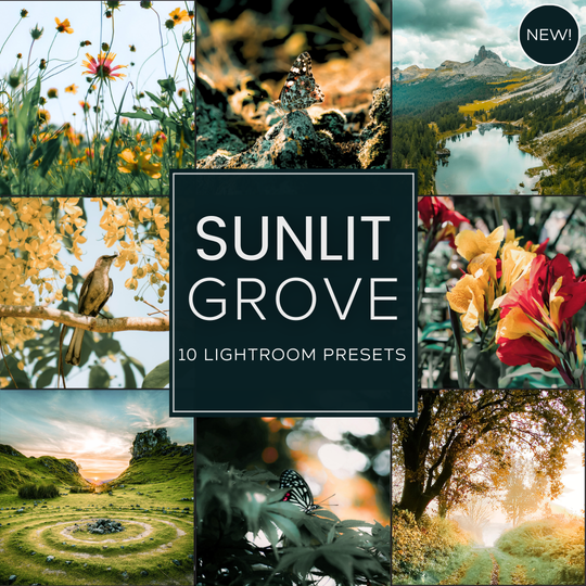Sunlit Grove LIMITED Lightroom Presets Pack