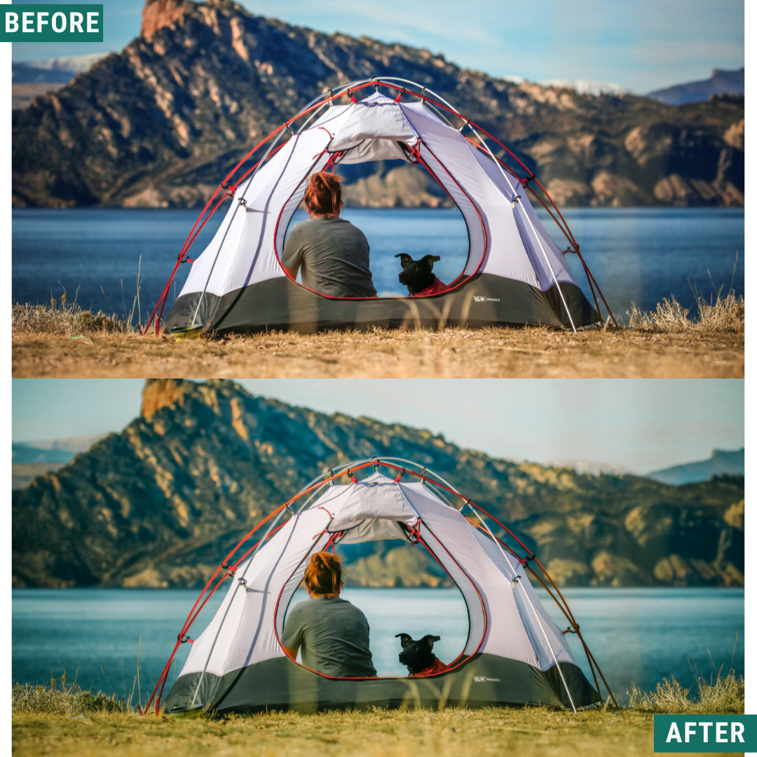 Sunlit Grove LIMITED Lightroom Presets Pack