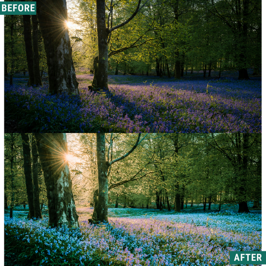 Sunlit Grove LIMITED Lightroom Presets Pack