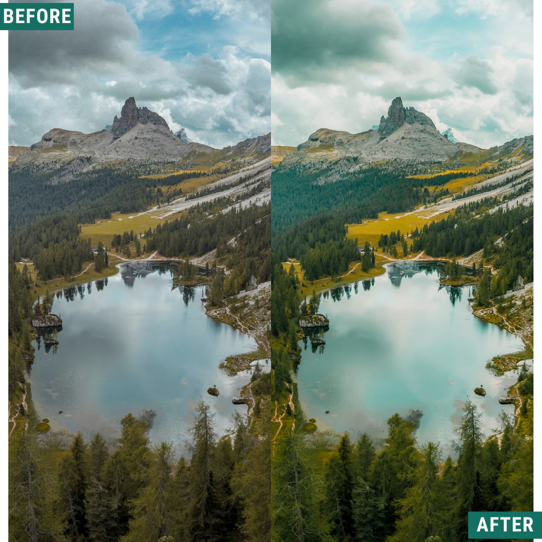 Sunlit Grove LIMITED Lightroom Presets Pack
