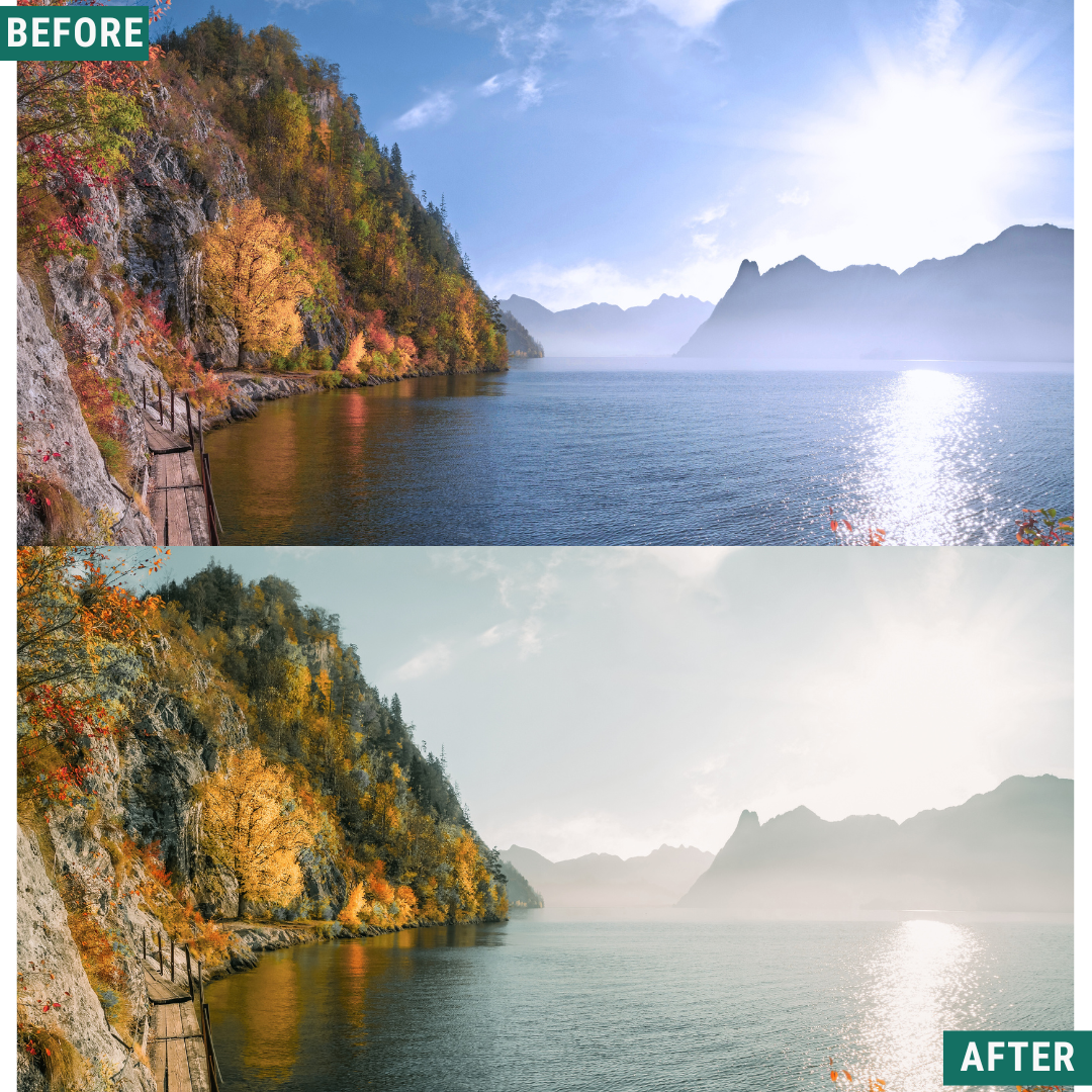 Sunlit Grove LIMITED Lightroom Presets Pack