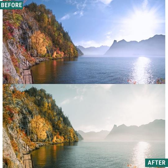 Sunlit Grove LIMITED Lightroom Presets Pack
