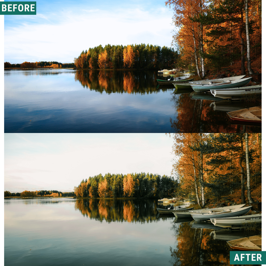 Sunlit Grove LIMITED Lightroom Presets Pack