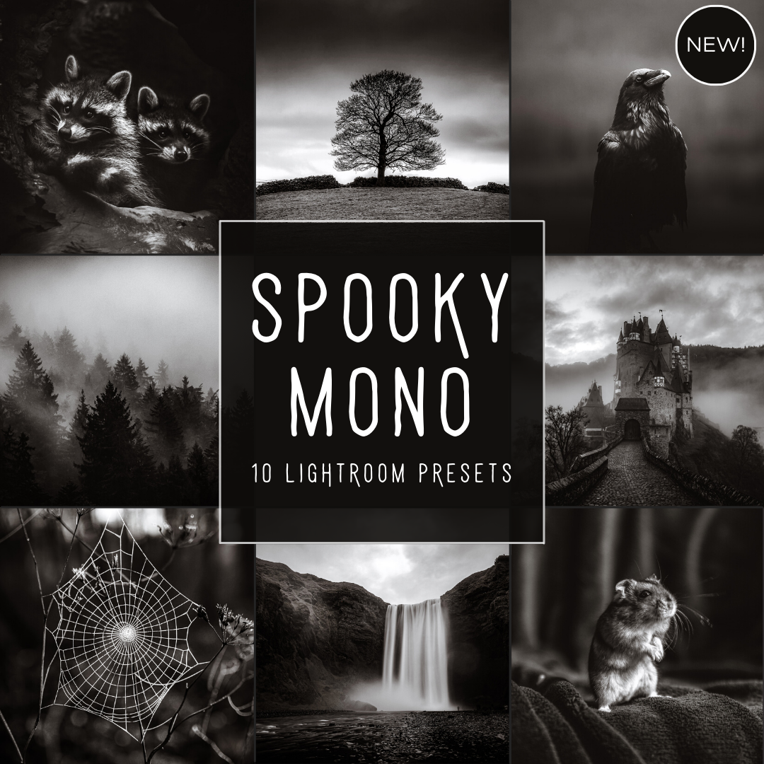 Spooky Mono LIMITED Lightroom Presets Pack