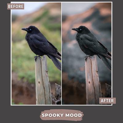 Spooky Bundle LIMITIERT 80 Lightroom-Presets