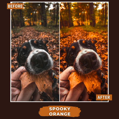 Spooky Bundle LIMITIERT 80 Lightroom-Presets