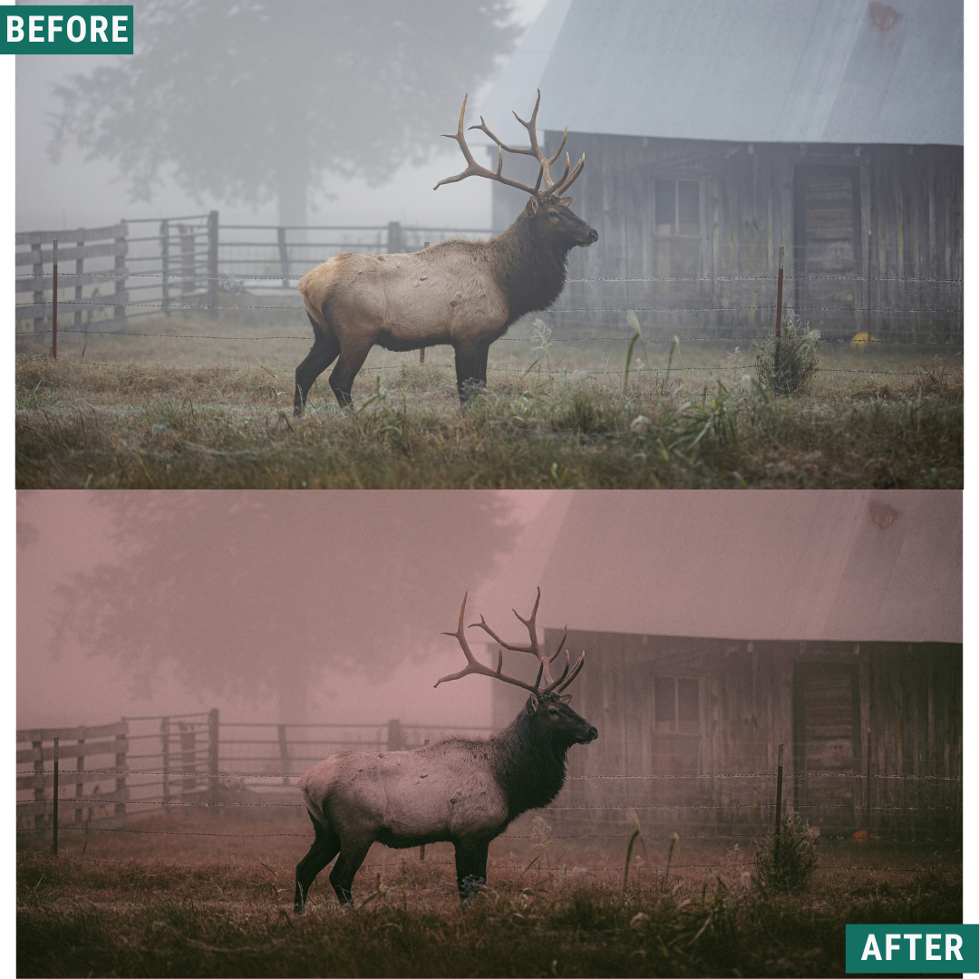 Spooky Red LIMITED Lightroom Presets Pack
