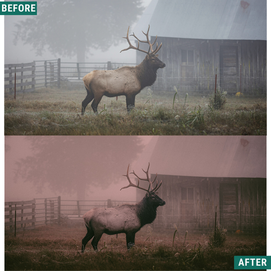 Spooky Red LIMITED Lightroom Presets Pack