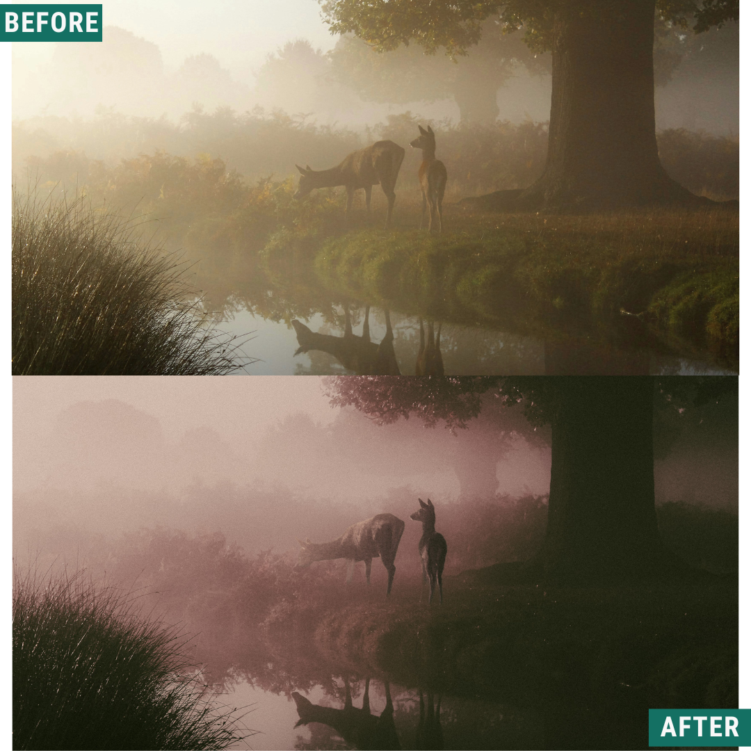 Spooky Red LIMITED Lightroom Presets Pack