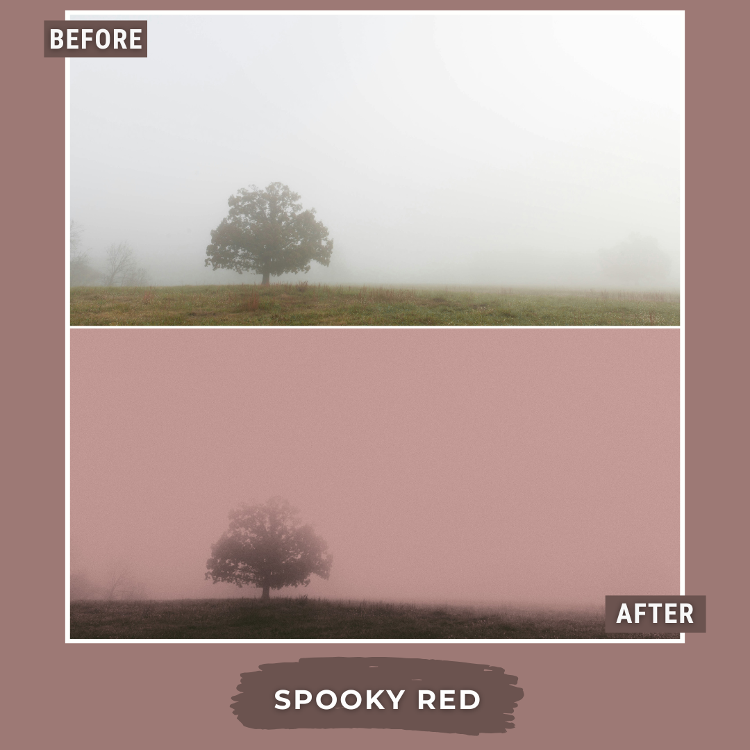Master Collection Bundle 590 Lightroom Presets + 76 Bonus AI Spooky Presets