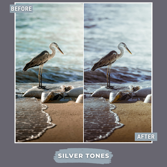 Master Collection Bundle 490 Lightroom Presets Summer