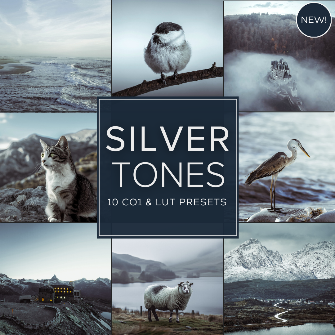Silver Tones Capture One & LUT Presets Pack