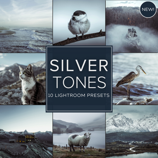 Silver Tones LIMITIERTES Lightroom-Presets-Paket