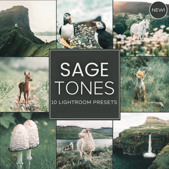 Sage Tones LIMITED Lightroom Presets Pack