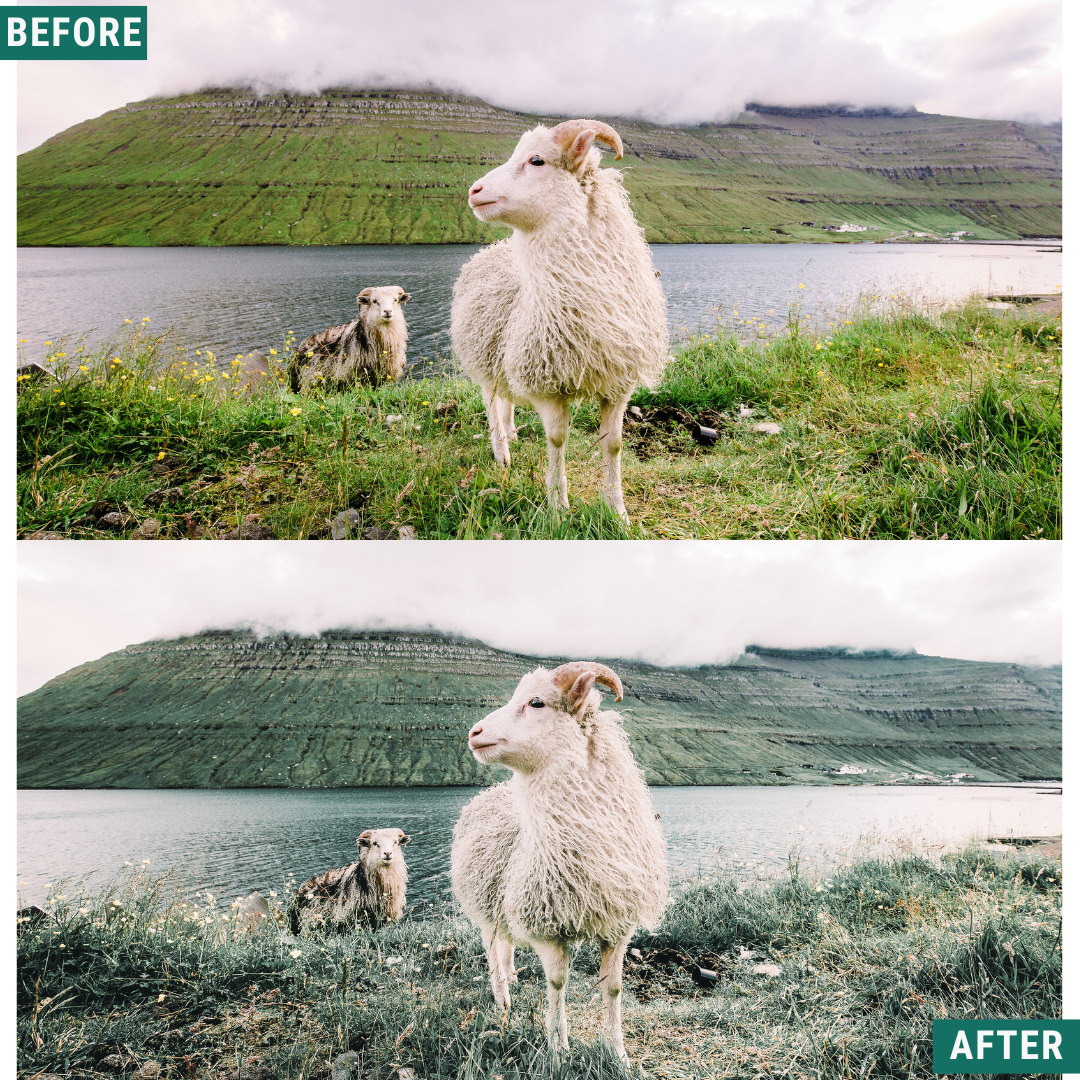 Sage Tones LIMITED Lightroom Presets Pack