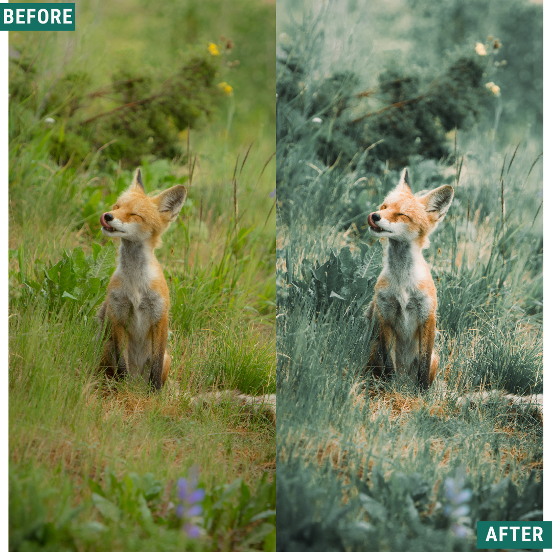 Sage Tones LIMITED Lightroom Presets Pack