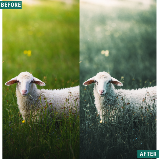 Sage Tones LIMITED Lightroom Presets Pack