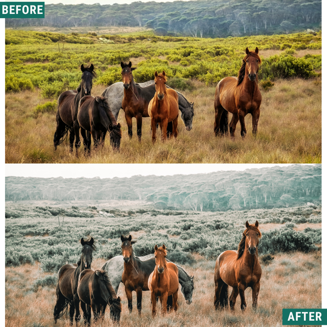 Sage Tones LIMITED Lightroom Presets Pack