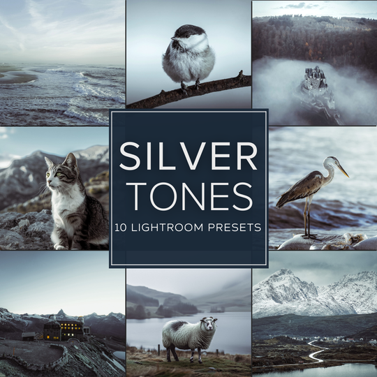 Silver Tones Lightroom Presets Pack