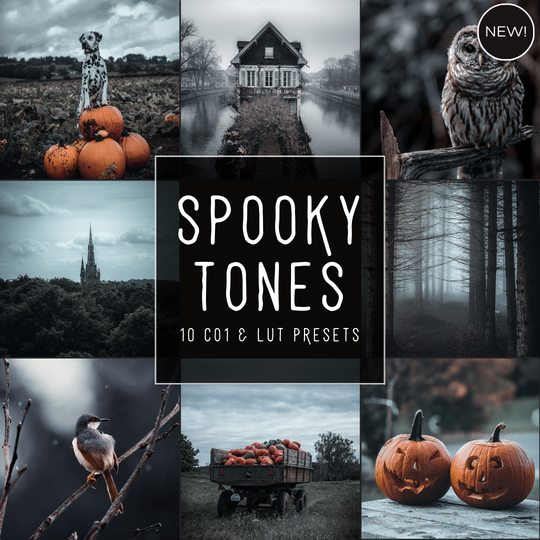 Spooky Tones LIMITIERTES Lightroom-Presets-Paket